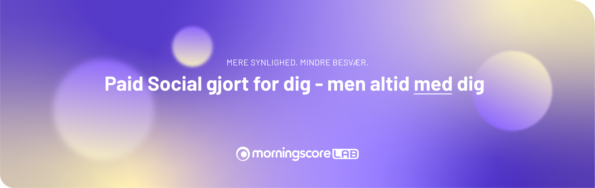paid social banner - Morningscore SEO tool